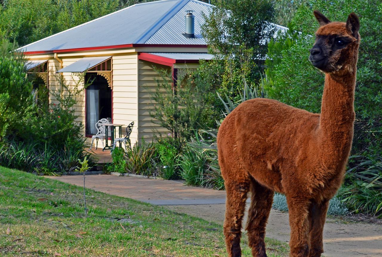 Araluen Park Cottages Lakes Entrance Exterior photo