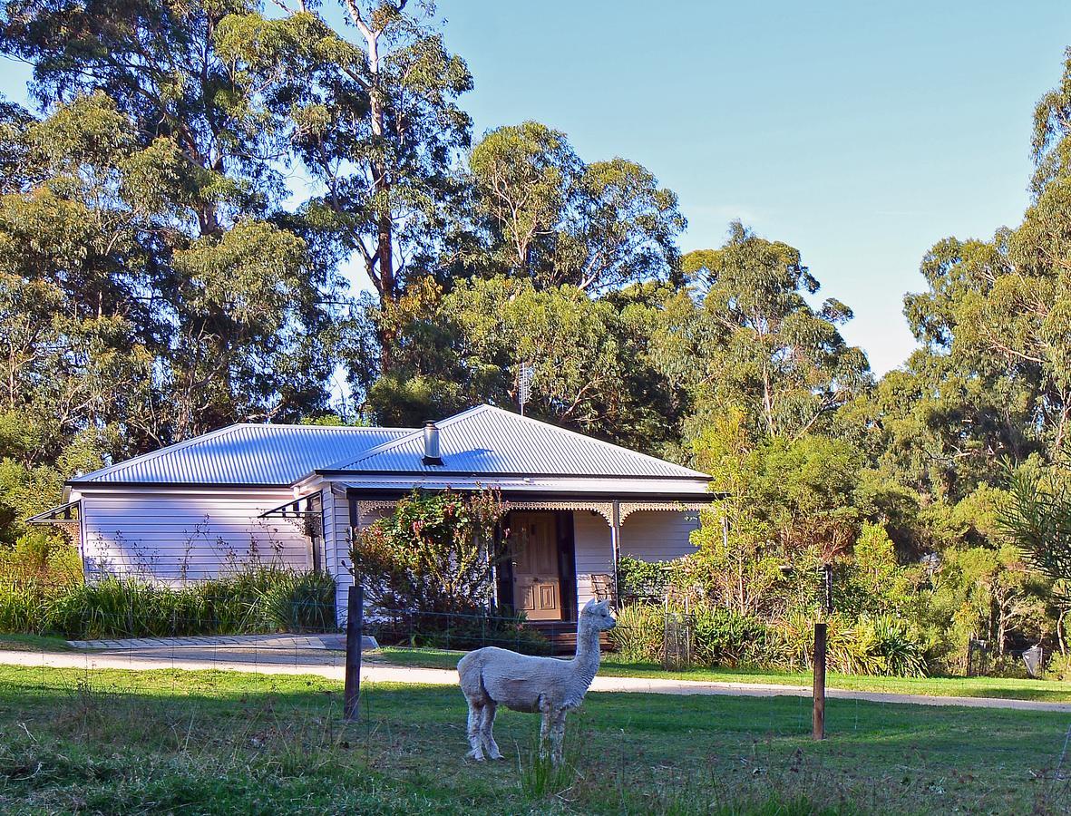 Araluen Park Cottages Lakes Entrance Exterior photo