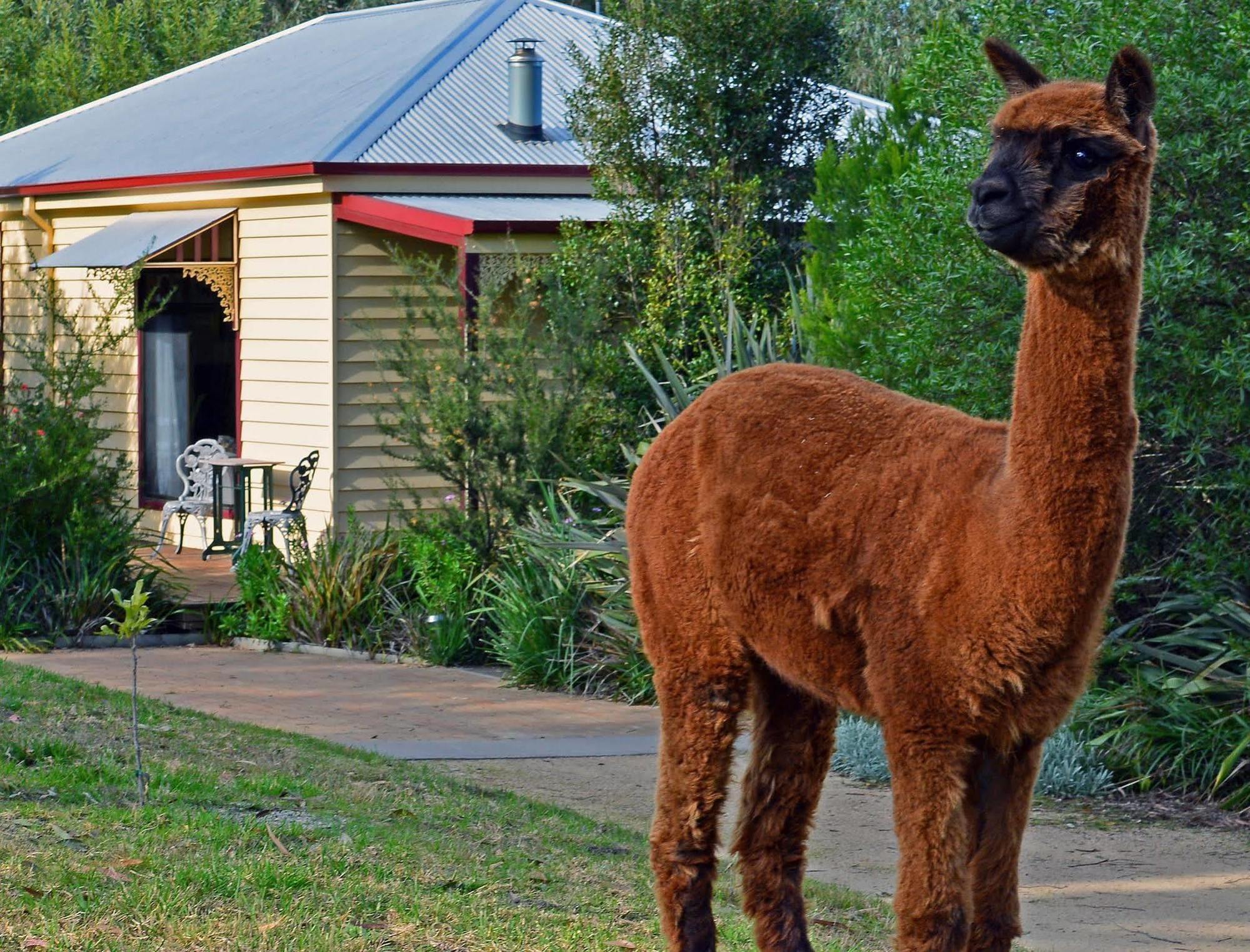 Araluen Park Cottages Lakes Entrance Exterior photo