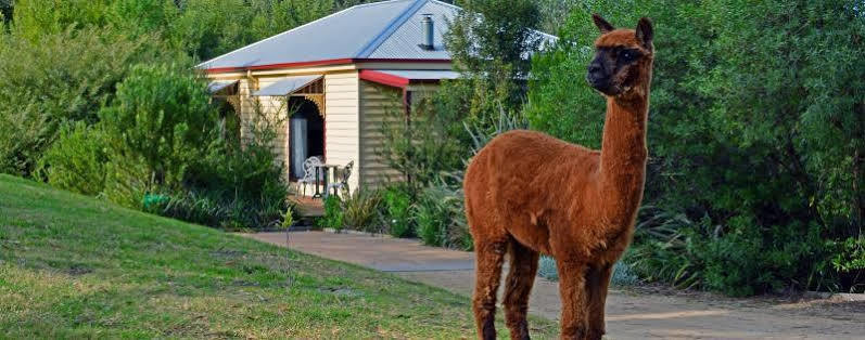 Araluen Park Cottages Lakes Entrance Exterior photo